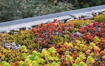the cost of Rolston green roof installation