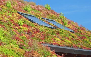 Rolston living roof systems